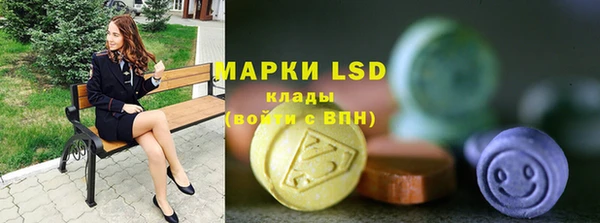 прущие грибы Абинск