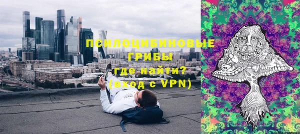 круглые Алексеевка