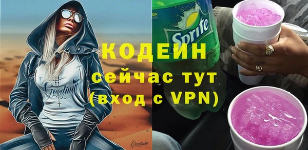 шишки Абаза
