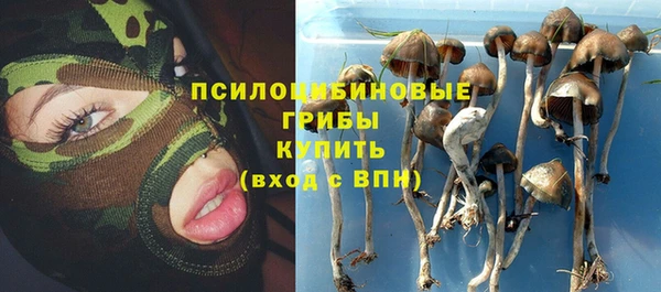 ГАЛЛЮЦИНОГЕННЫЕ ГРИБЫ Ростов