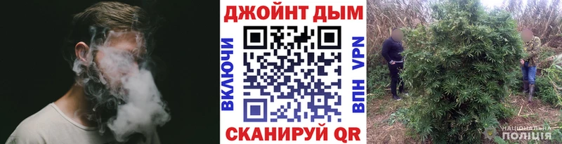 Марихуана сатива Островной